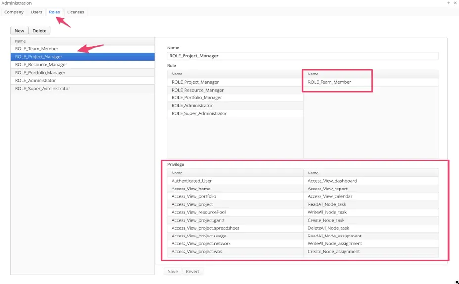 Roles tab: a role, its name and the privileges it grants